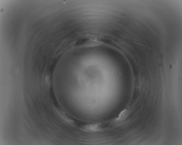 X0000086220086200704051251