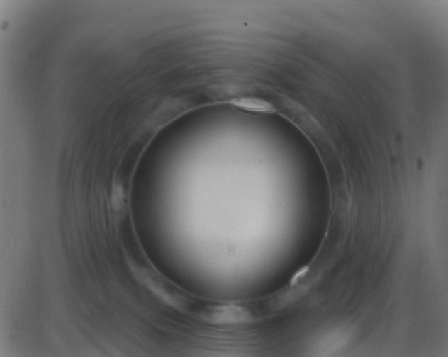 X0000086220087200704051251