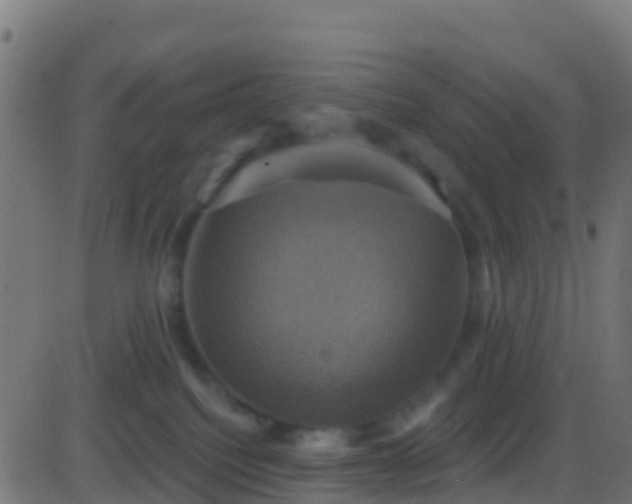 X0000086220088200704051251