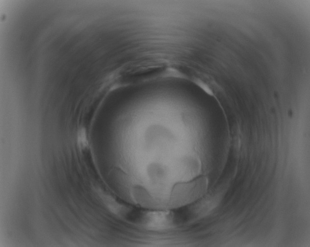 X0000086220089200704051251