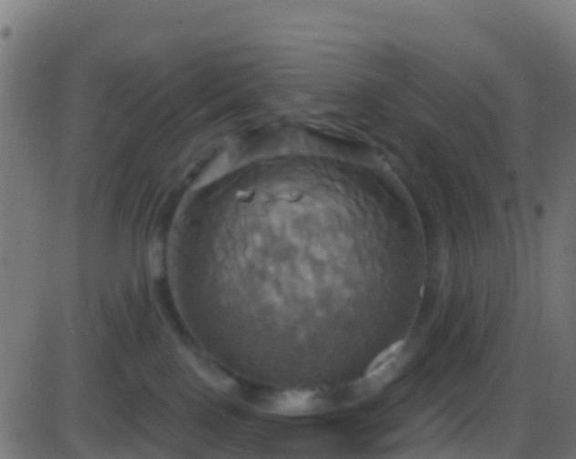 X0000086220090200704051251