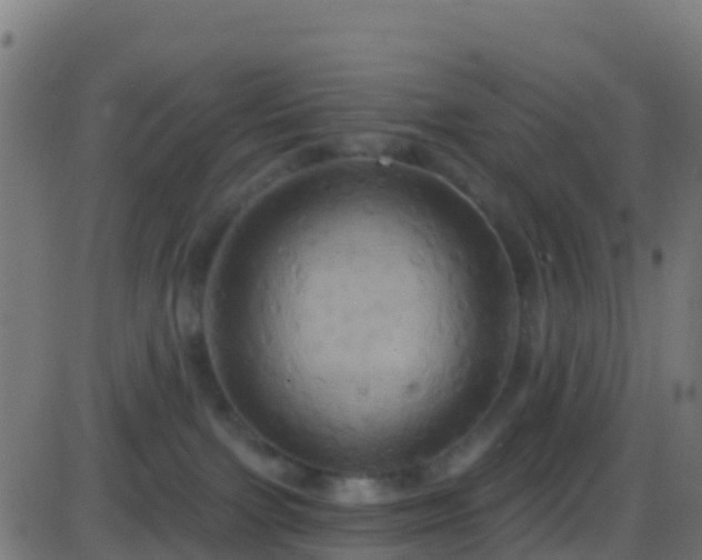 X0000086220091200704051251