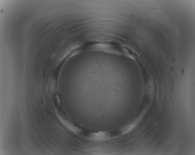 X0000086220092200704051251