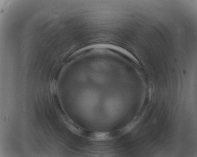 X0000086220093200704051251