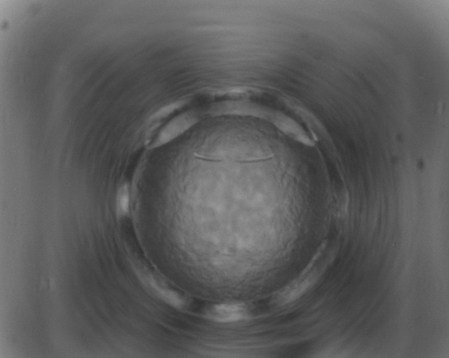 X0000086220095200704051251