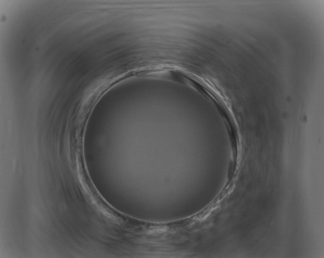 X0000086220097200704051251