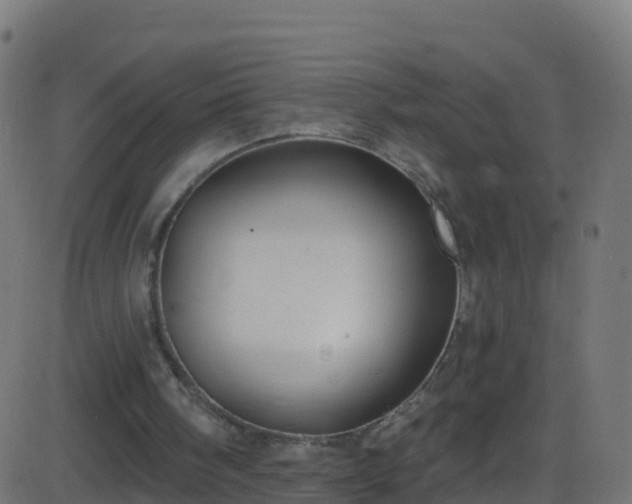 X0000086220098200704051250