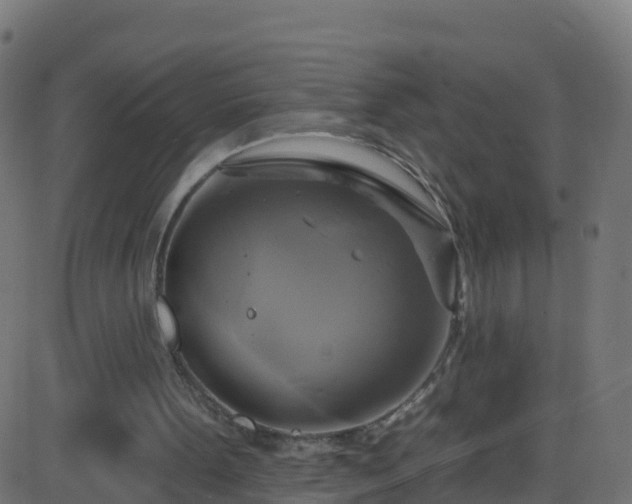 X0000086220099200704051250