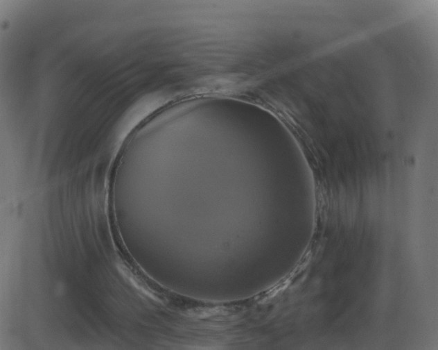 X0000086220100200704051250