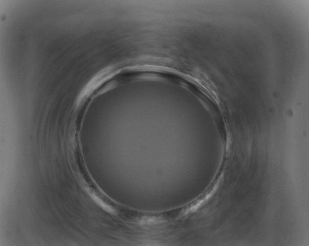 X0000086220101200704051250