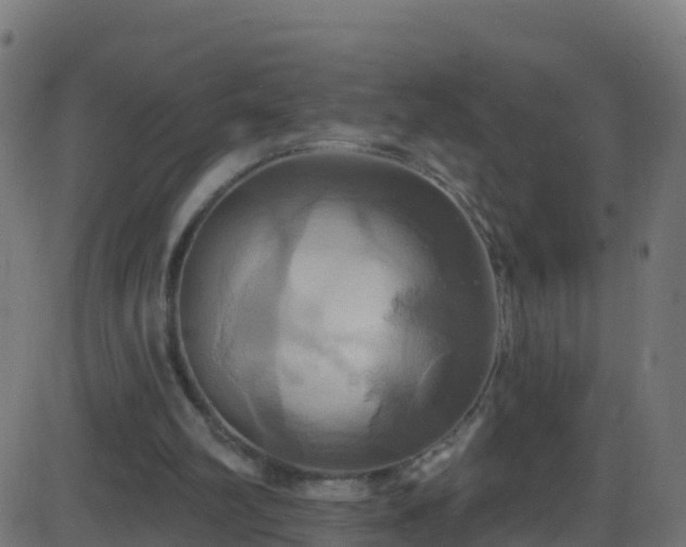 X0000086220102200704051250