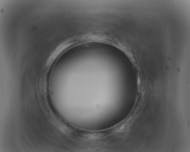 X0000086220103200704051250