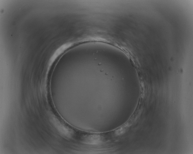 X0000086220104200704051250