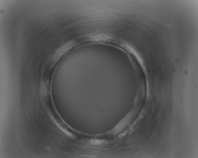 X0000086220105200704051250