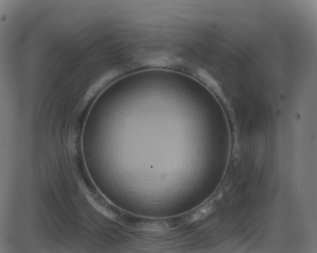 X0000086220106200704051250