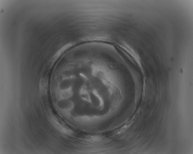 X0000086220107200704051250