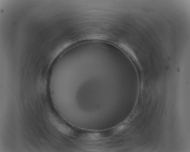 X0000086220108200704051250