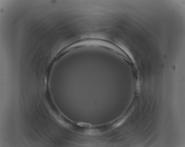 X0000086220109200704051250