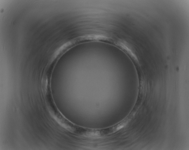 X0000086220110200704051250