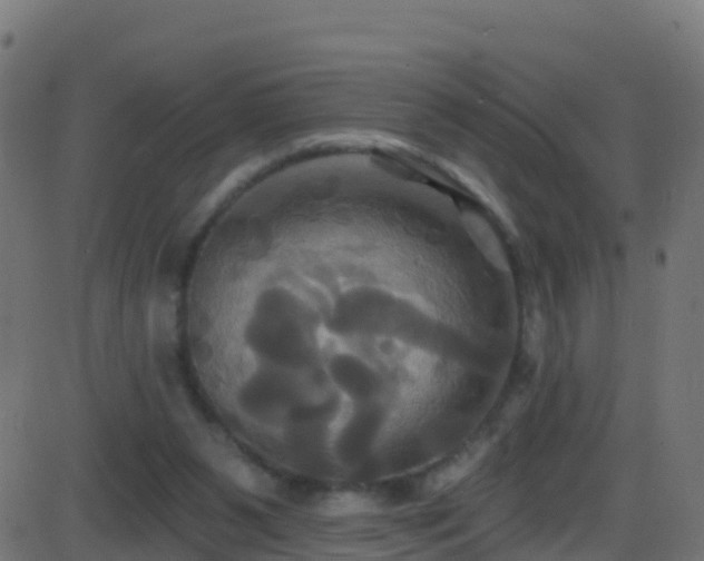 X0000086220111200704051250