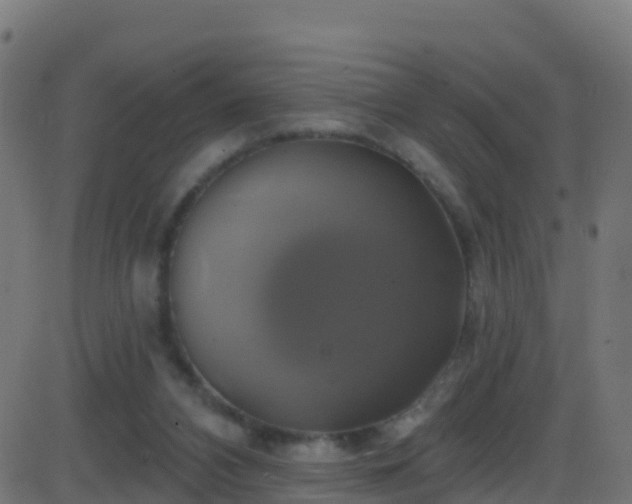 X0000086220112200704051250