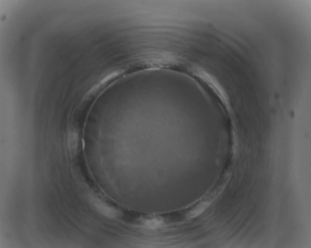 X0000086220113200704051250