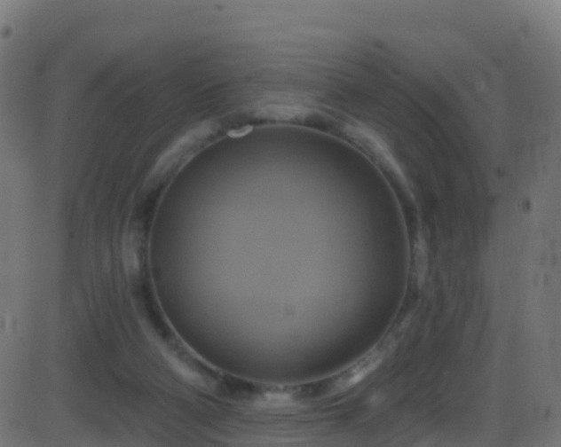 X0000086220114200704051250