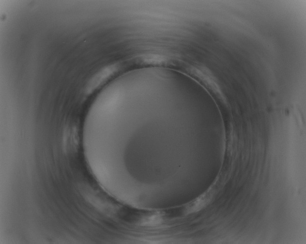 X0000086220116200704051250