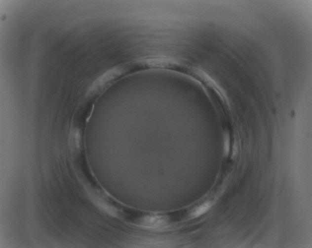 X0000086220117200704051250