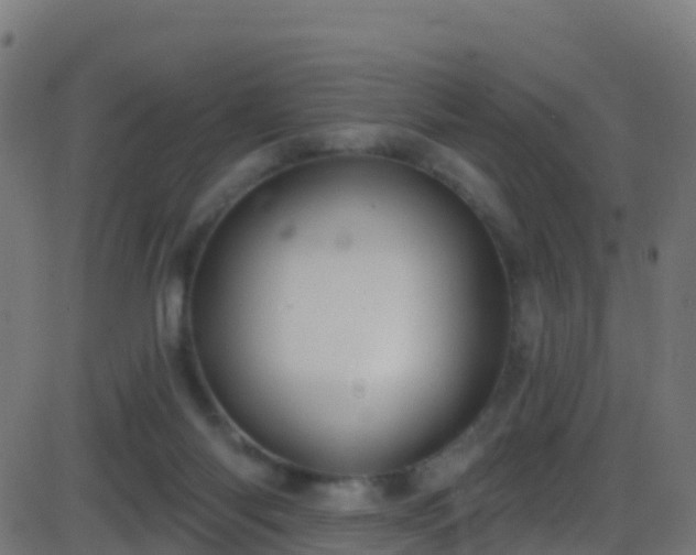 X0000086220118200704051250