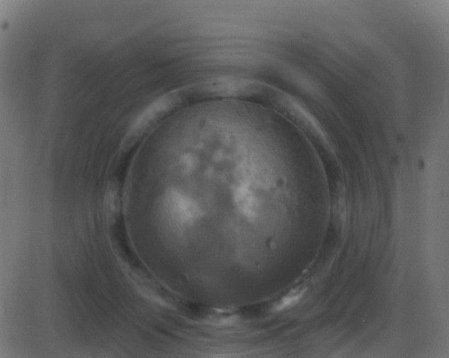 X0000086220119200704051250