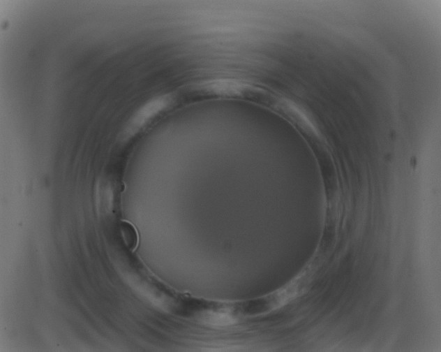 X0000086220120200704051250