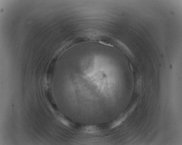 X0000086220121200704051250