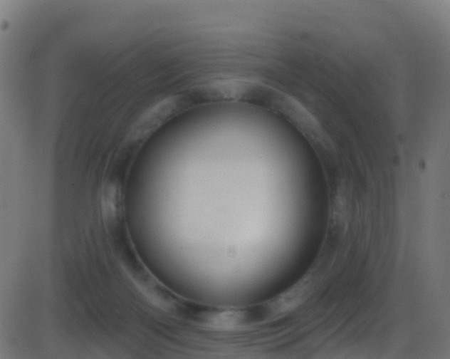 X0000086220122200704051250