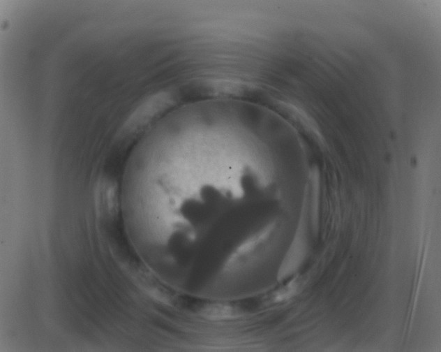 X0000086220123200704051250