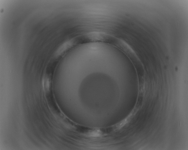 X0000086220124200704051250