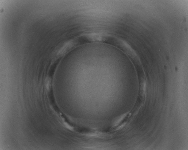 X0000086220125200704051250