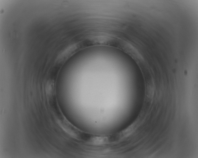 X0000086220126200704051250