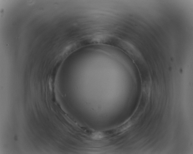 X0000086220127200704051250