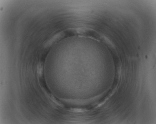 X0000086220129200704051250