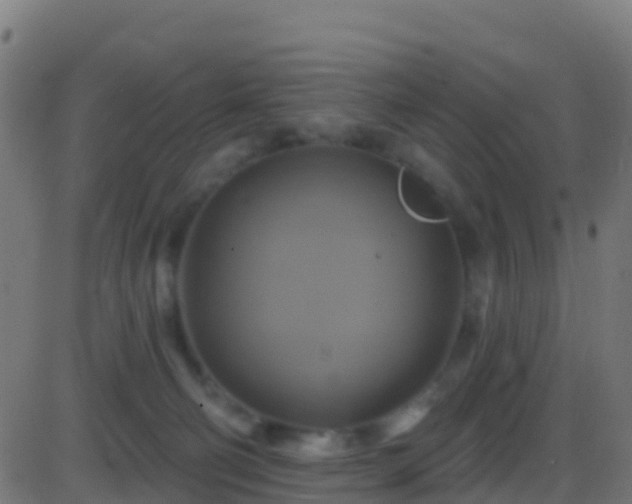 X0000086220130200704051250