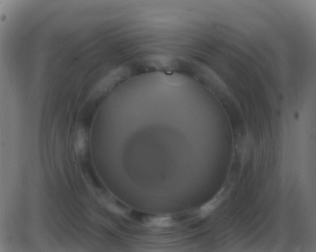 X0000086220132200704051250