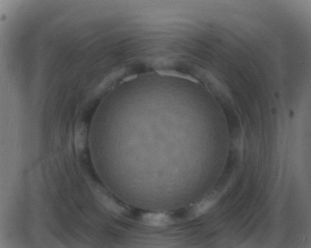 X0000086220133200704051250