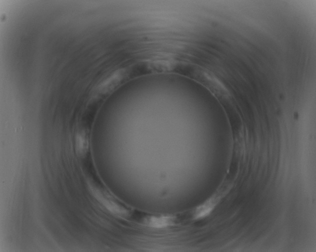 X0000086220134200704051250