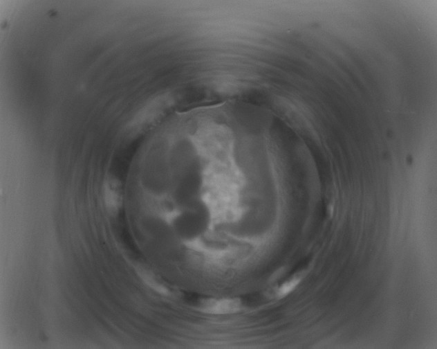 X0000086220135200704051250