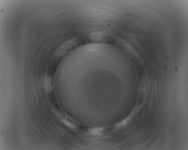 X0000086220136200704051250