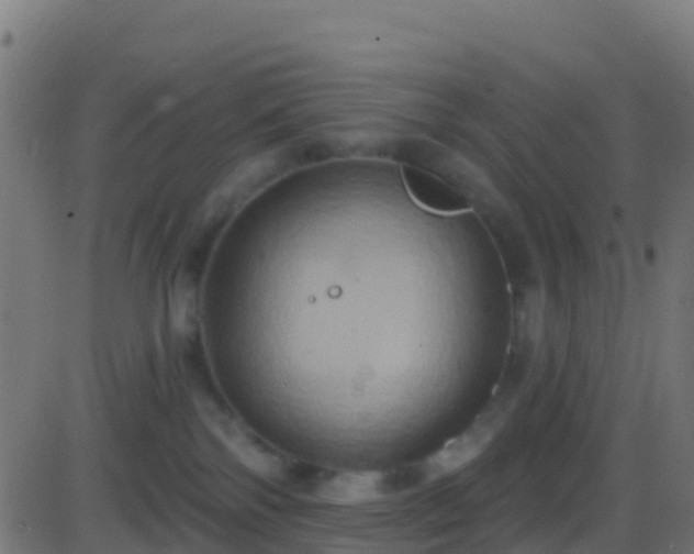 X0000086220138200704051250