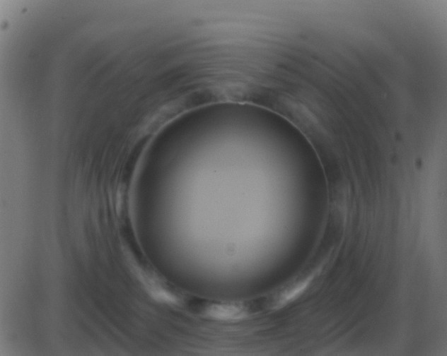 X0000086220139200704051250