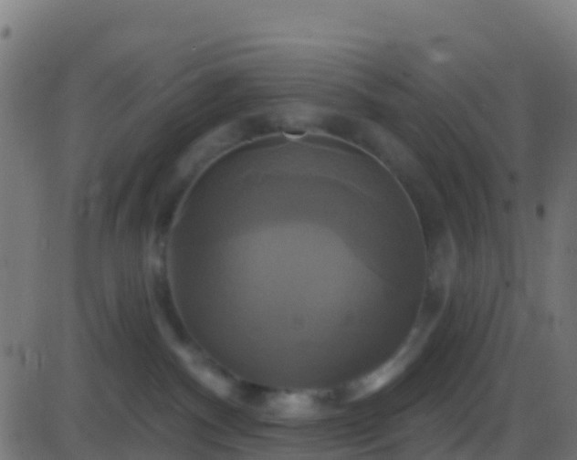 X0000086220140200704051250