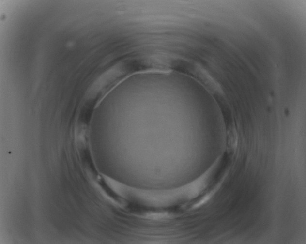 X0000086220141200704051250